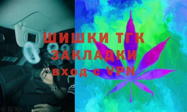 ПСИЛОЦИБИНОВЫЕ ГРИБЫ Вязьма