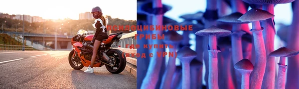 таблы Вяземский