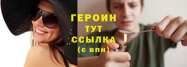 молекула духа Снежногорск