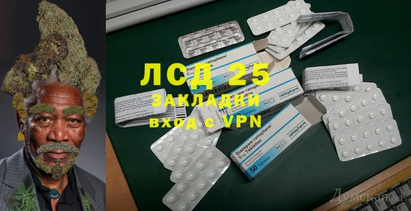 ПСИЛОЦИБИНОВЫЕ ГРИБЫ Вязьма