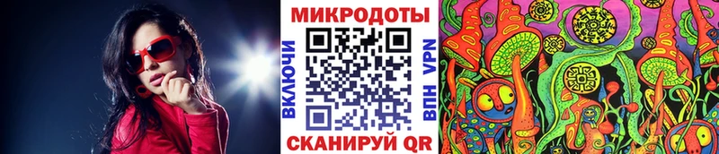 ОМГ ОМГ как зайти  Павловск  Псилоцибиновые грибы прущие грибы 